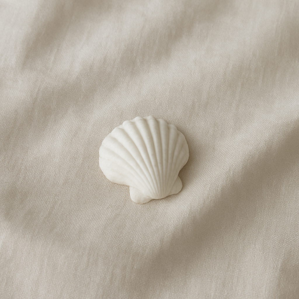 White seashell on cream linen